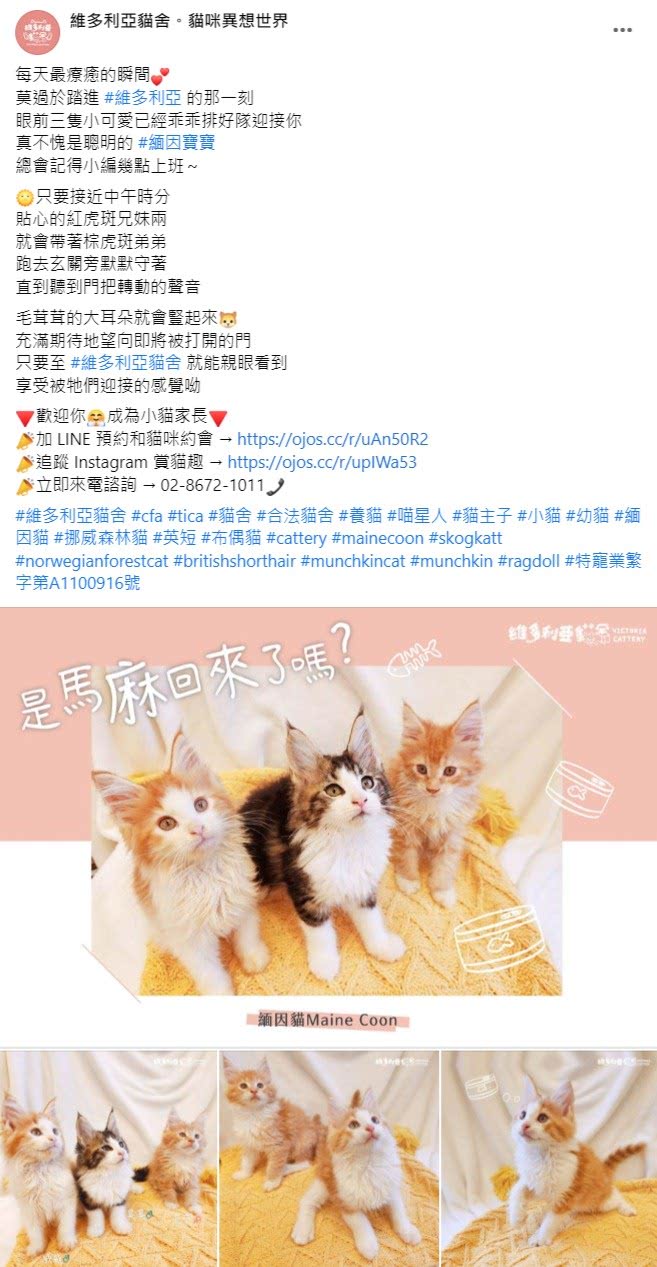 Facebook 社群貼文範例